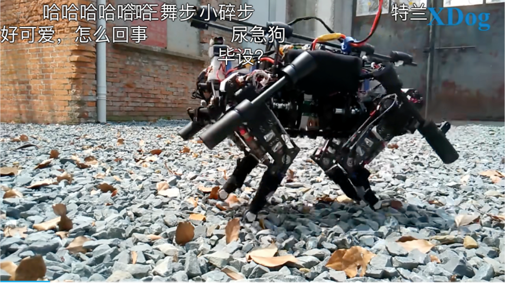 image-20250220213017562